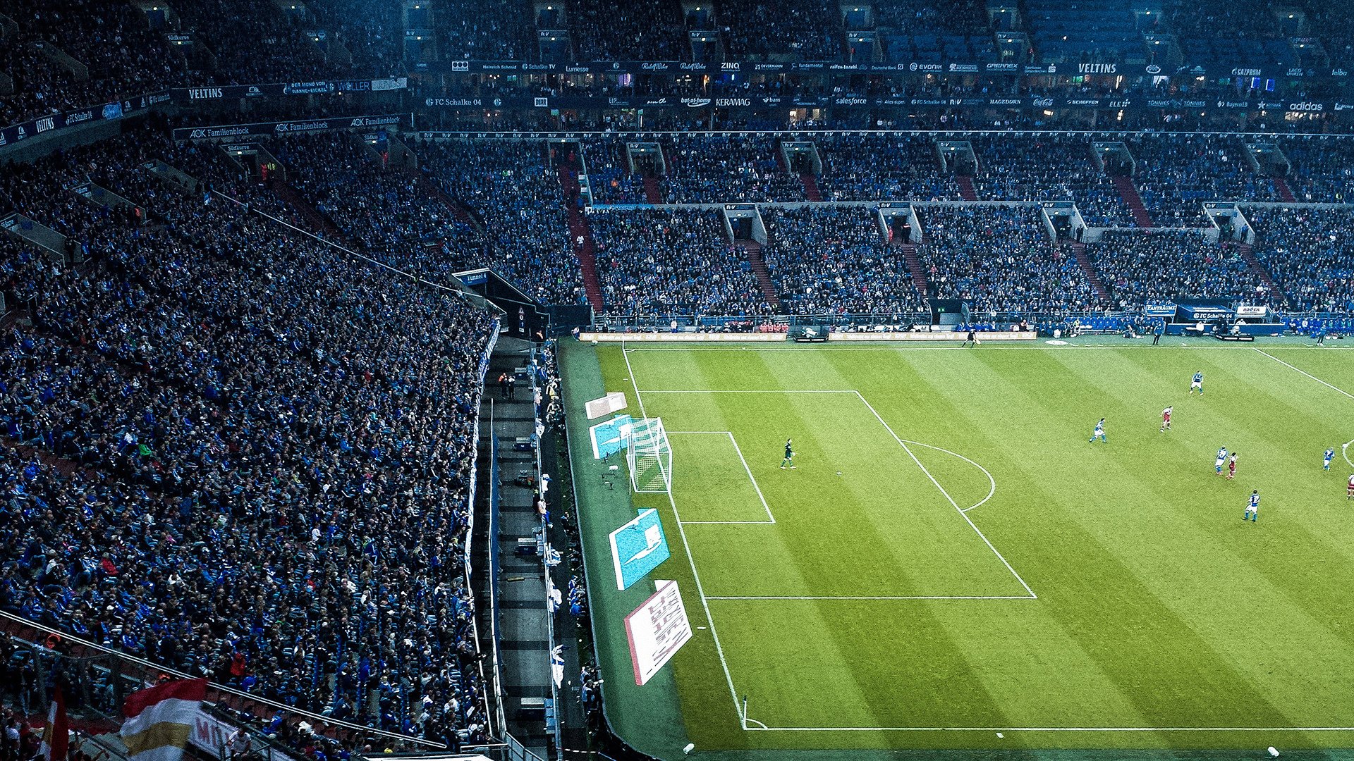 费内巴切半决赛险胜上海申花，王楚钦砍下11记关键球，全场沸腾-爱游戏在线登录